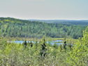 Terrain from the Grand Mira-Gabarus Road