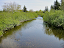 Trout Brook