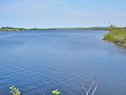 Mira River at Victoria Bridge