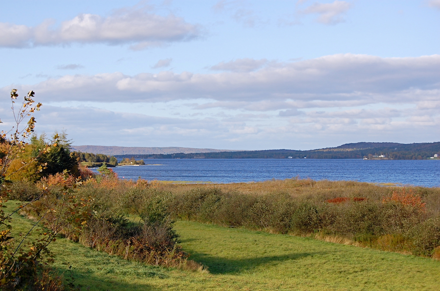 Mira River at Grand Mira North