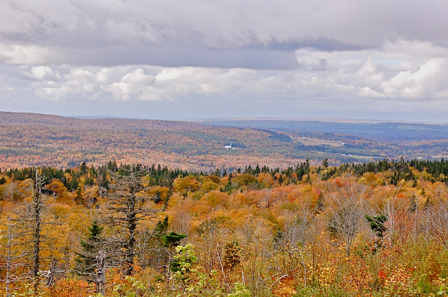 View from Churchview Road