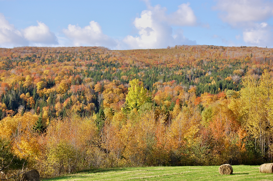 Southwest Ridge from Hillsborough