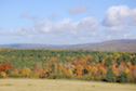 View from Foot Cape Road