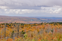 View from Churchview Road
