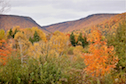 View from the Oregon Road