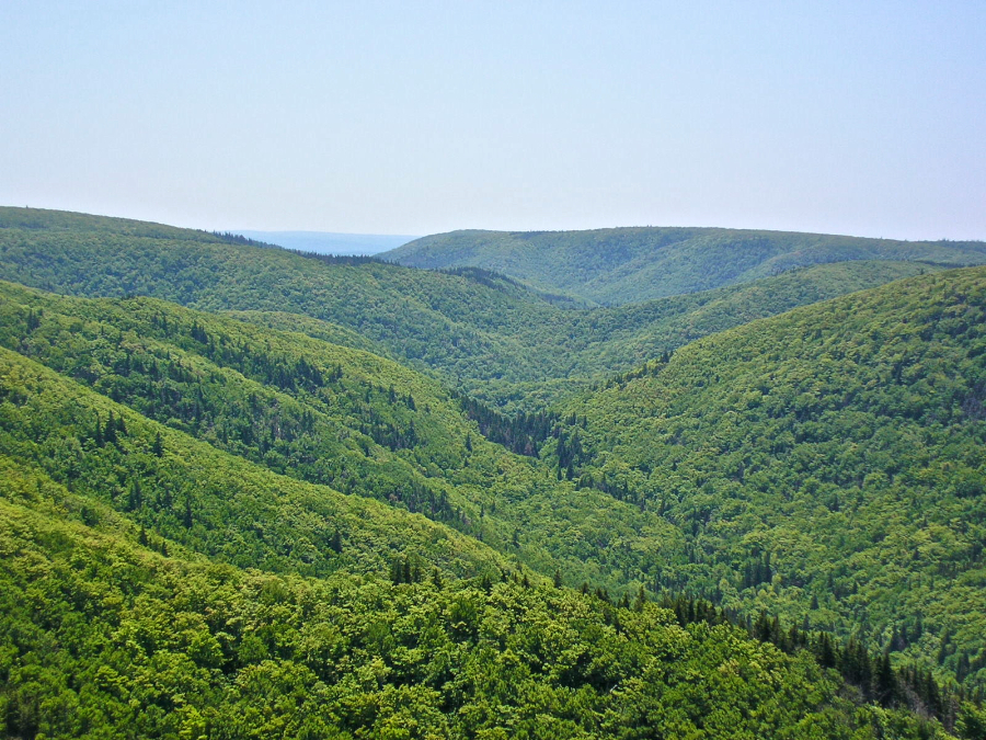 The Cape Mabou Highlands
