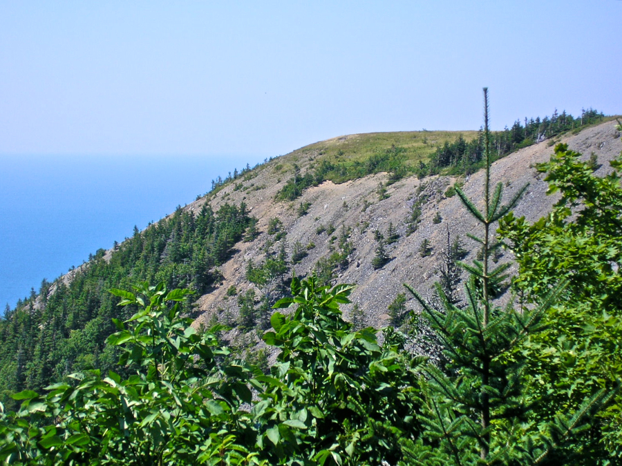 View from the Coill à Bhraighe (Highland Forest) Trail