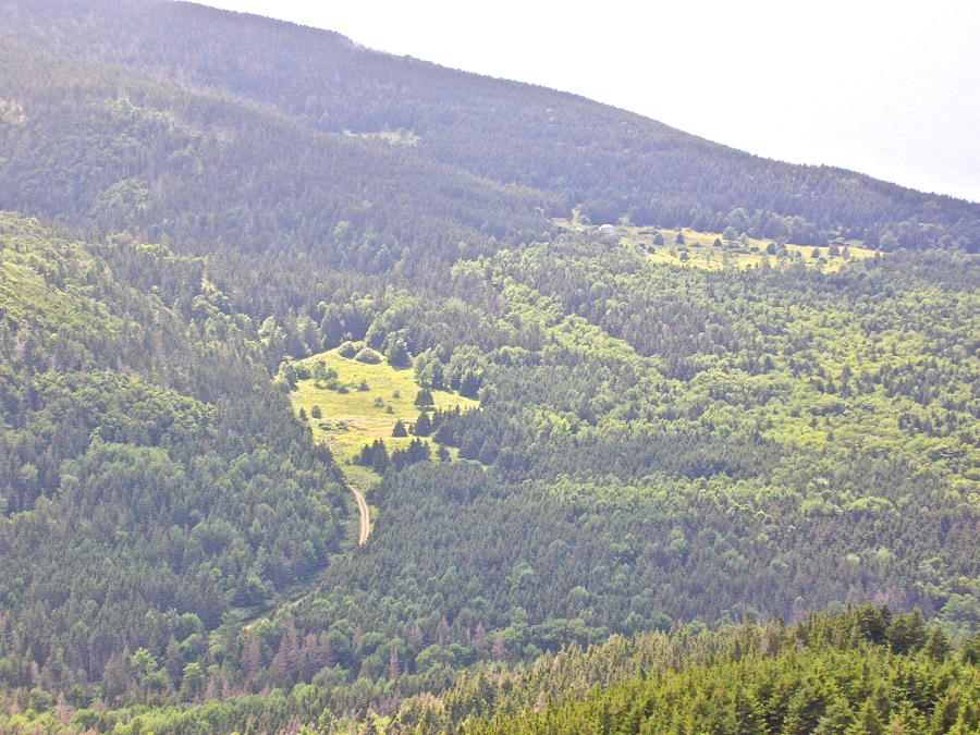MacKinnons Brook Lane from above