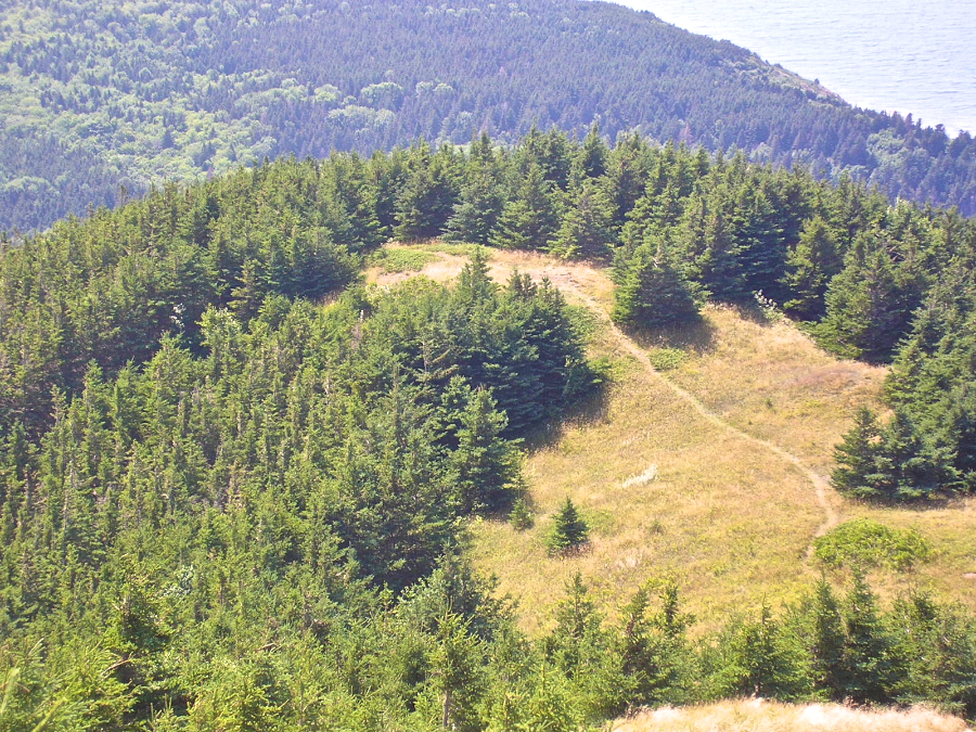 Descending Beinn Bhiorach
