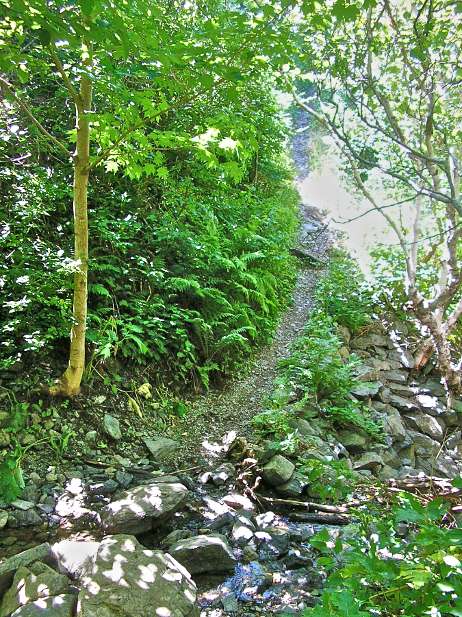 Trail Engineering