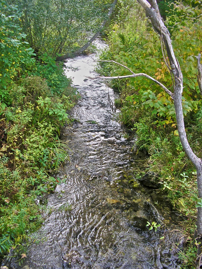 MacIsaacs Glen Brook from the “White Bridge”