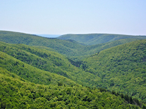 The Cape Mabou Highlands