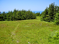 The Beinn Bhiorach Summit