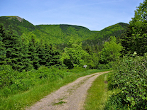 The Cape Mabou Highlands above MacKinnons Brook Lane