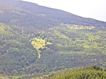 MacKinnons Brook Lane from above