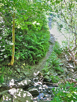 Trail Engineering