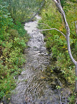 MacIsaacs Glen Brook from the “White Bridge”