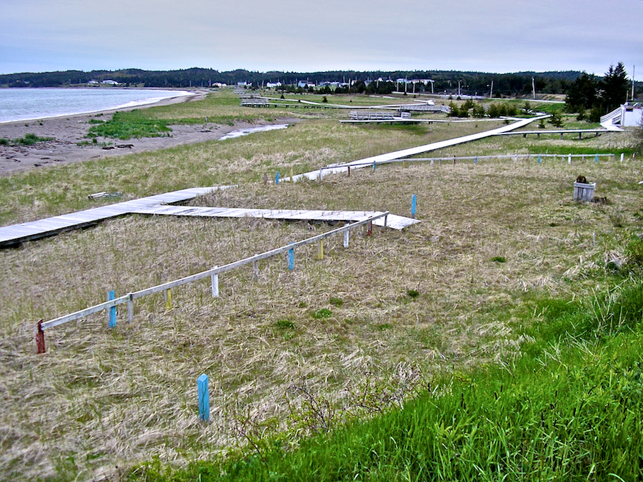 Boardwalks at the Main-à-Dieu Shore