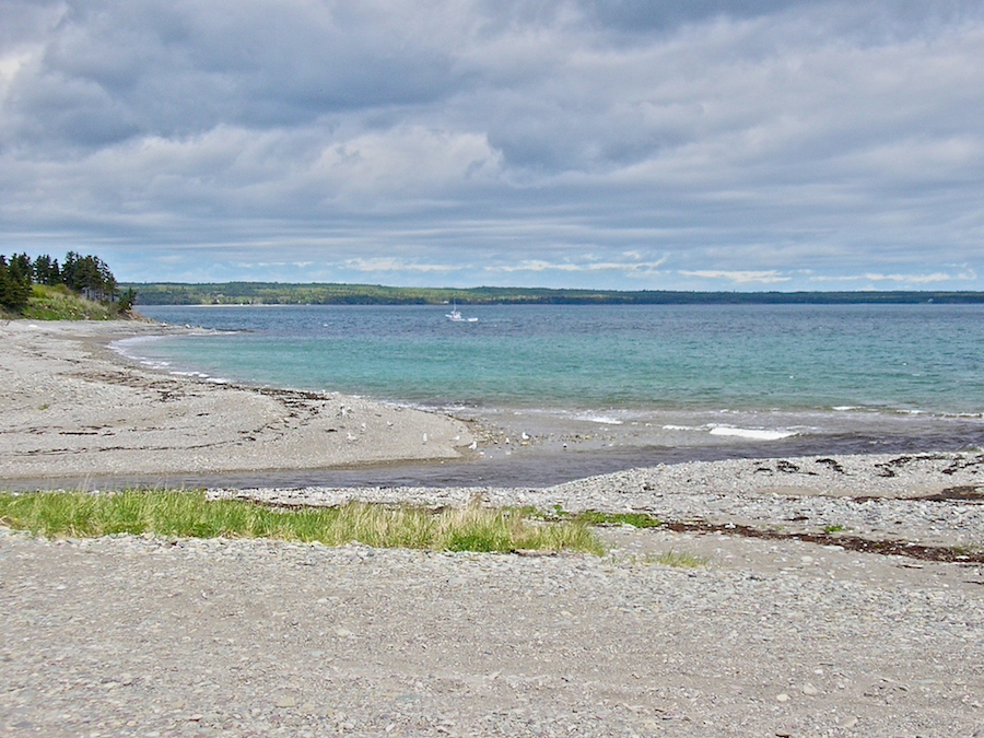 Mira Bay from Catalone Gut