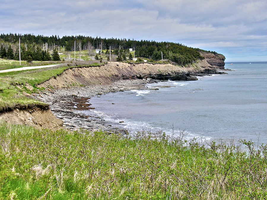Shore at Waddens Cove