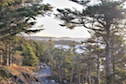 Looking east from the Lighthouse Trail