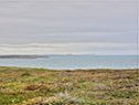 Coast West of Schooner Pond Head