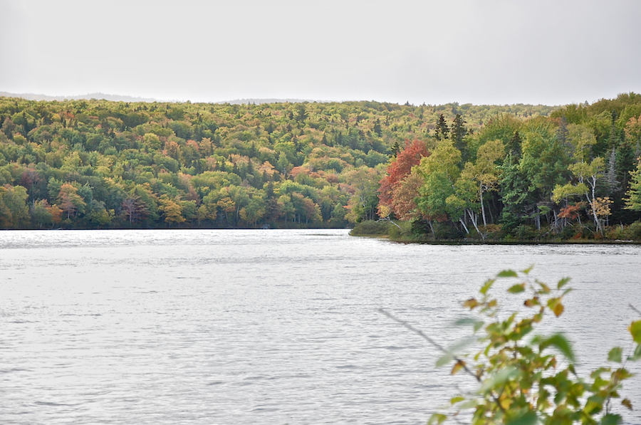 Warren Lake