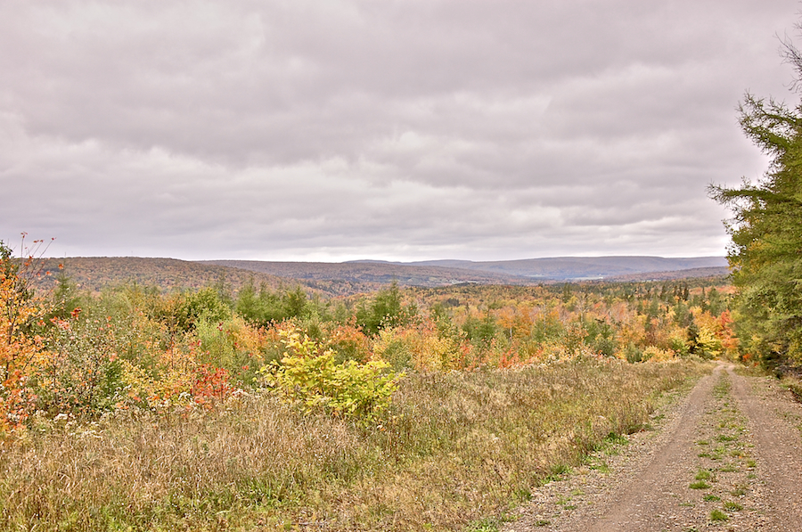 Northwest View from the MacLellan Road