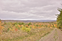 Northwest View from the MacLellan Road