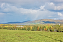 Mabou from the Beaton Road