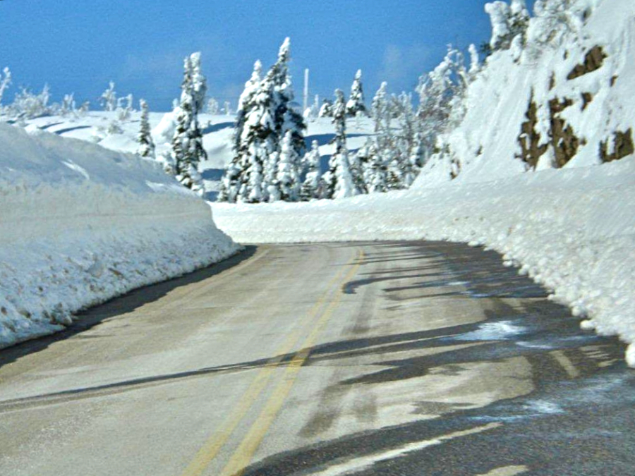 Cabot Trail near the summit of North Mountain