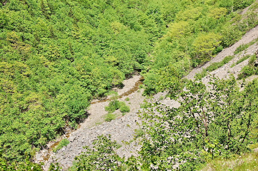 MacGregor Brook