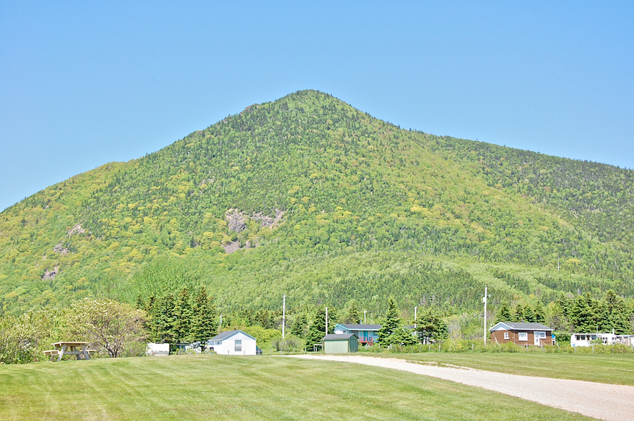 Wilkie Sugar Loaf