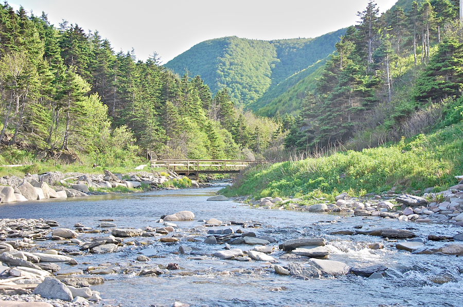 Looking up Meat Cove Brook from near its mouth