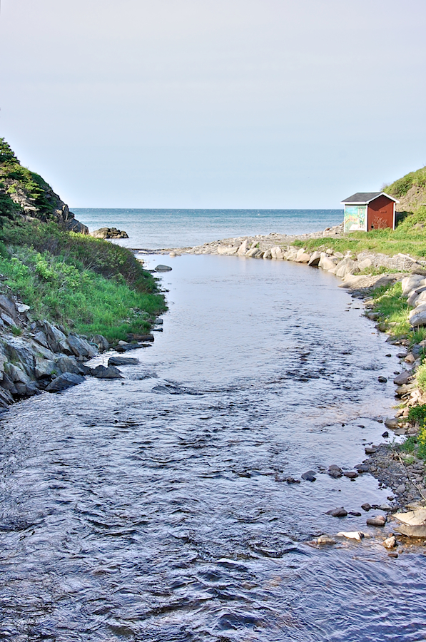 Meat Cove Brook enters the Gulf