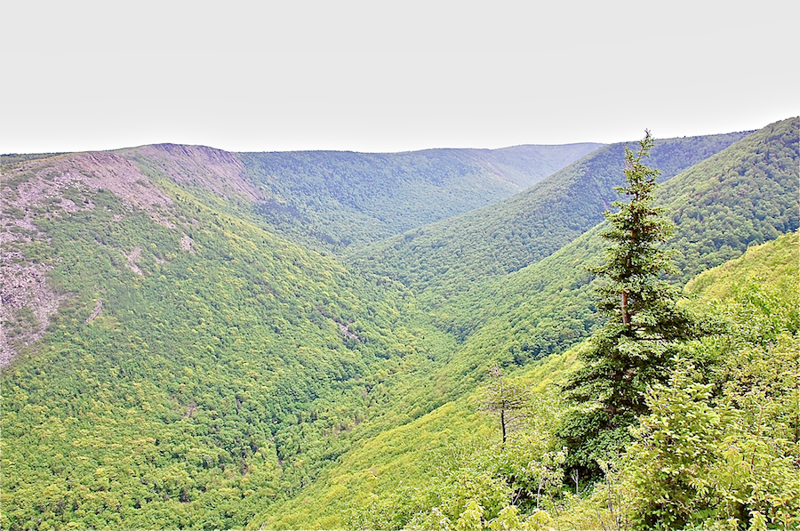 Meat Cove Brook Valley from the Meat Cove Look-Off