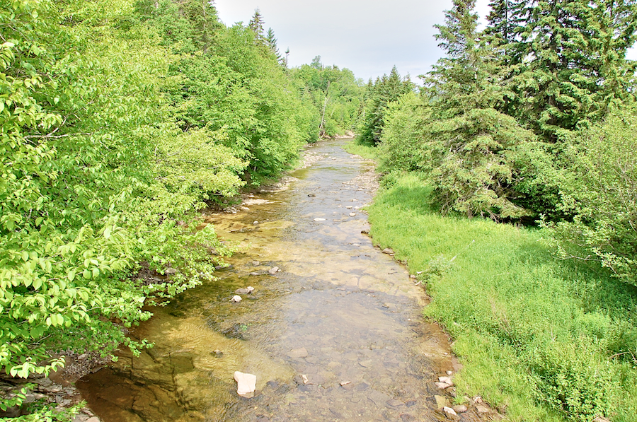 Miramichi Brook to the northwest from the bridge on the Old Mull River Road
