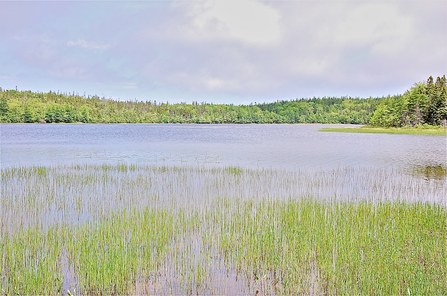 Cook Lake