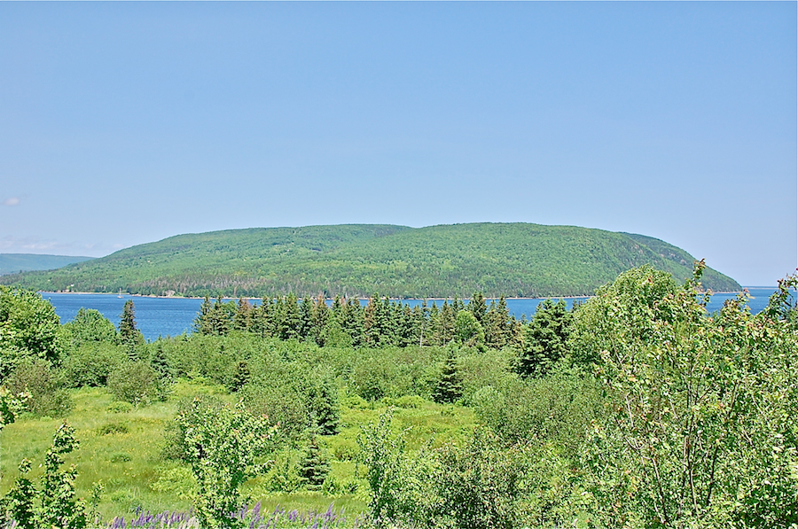 Murray Mountain above St Anns Harbour