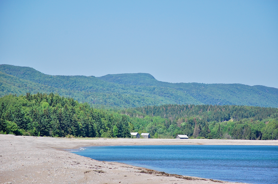 Shore just north of Little River Harbour