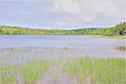 Cook Lake