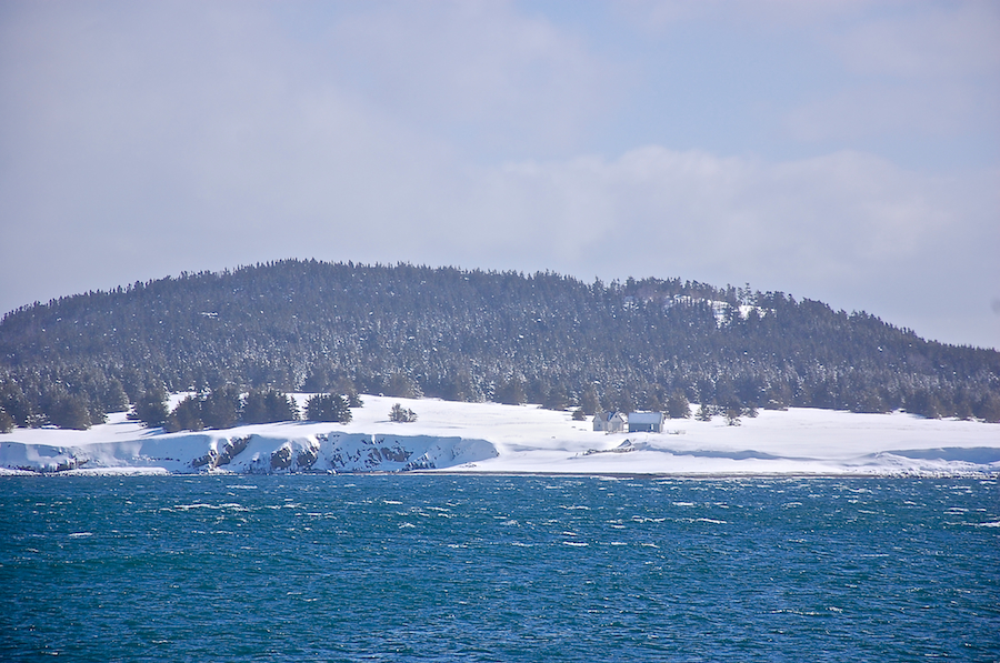 Close-up of Ingonish Island