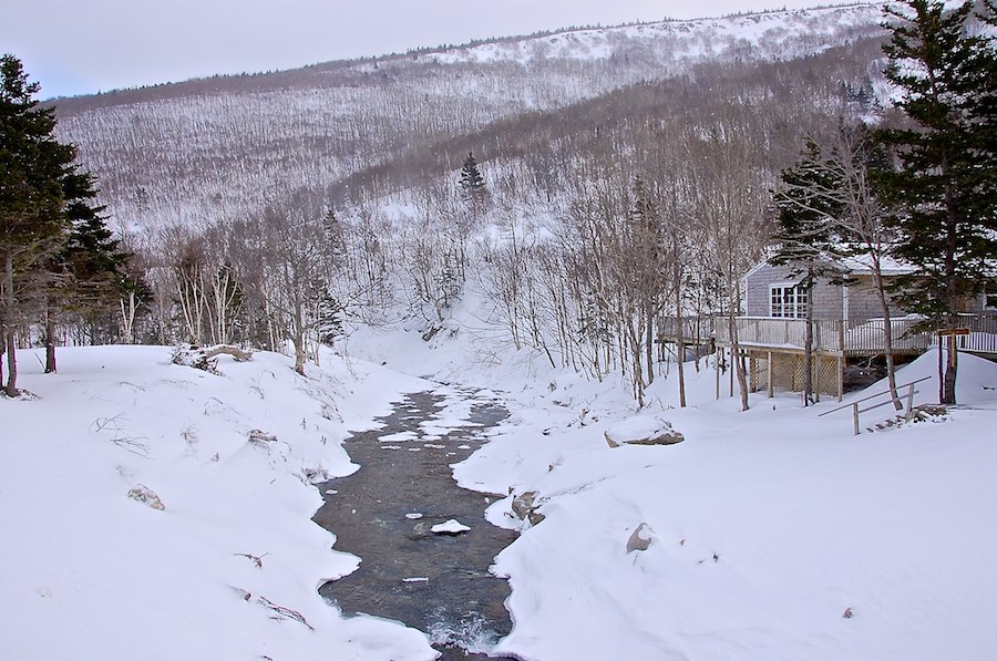 Meat Cove Brook