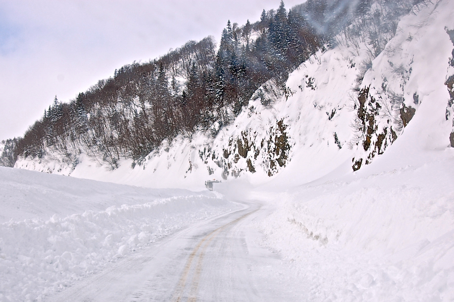 Following the plough up North Mountain
