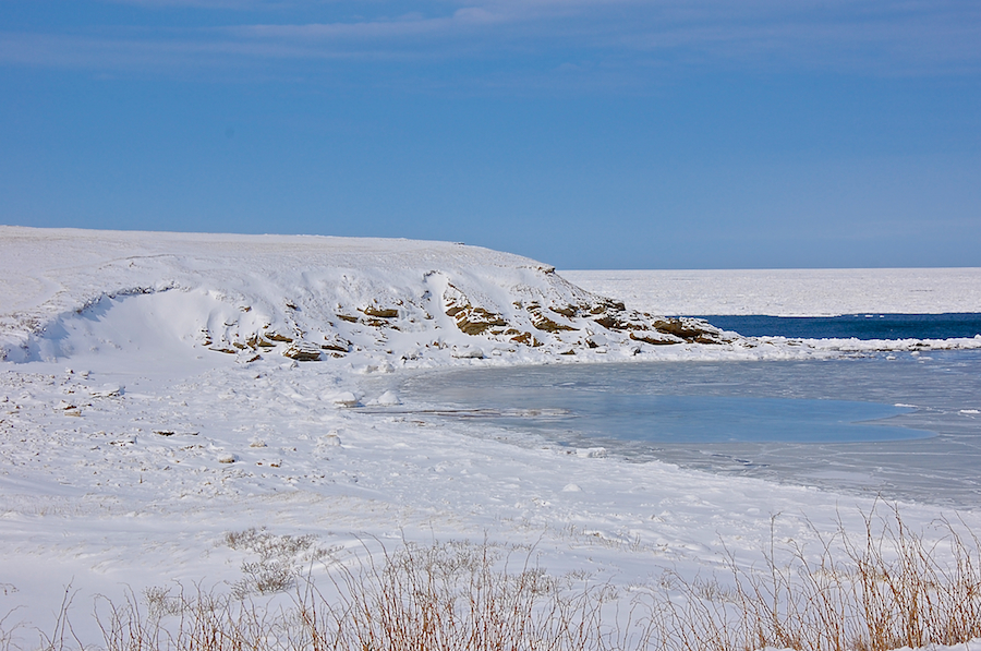 Whale Cove from the Shore Road