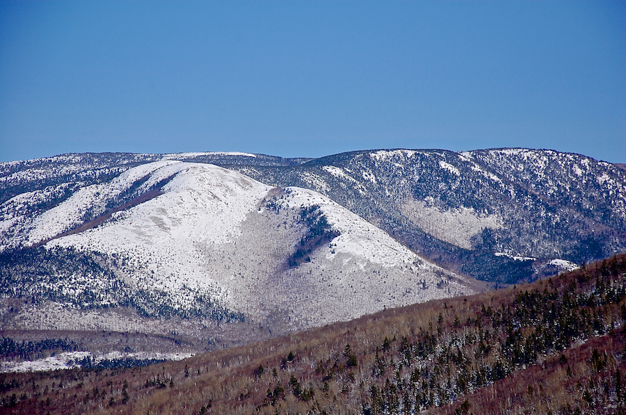Roberts Mountain