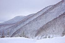 Descending North Mountain