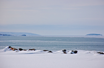 Sight Point and Margaree Island from the Cap-le-Moine Pull-Off