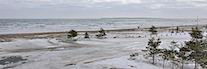 Point Michaud from the Provincial Park