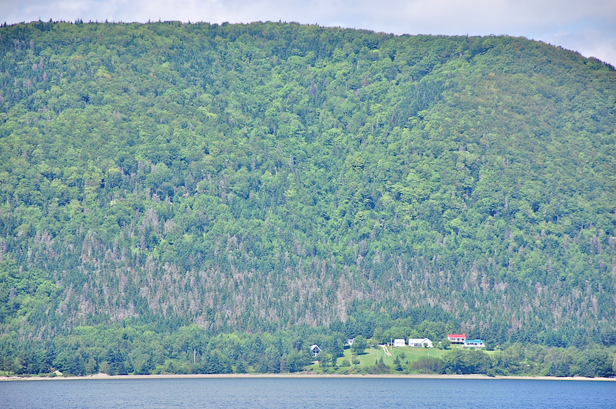 Murray Mountain a from Englishtown